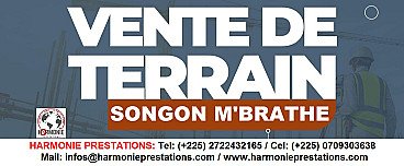 TERRAIN - SONGON M'BRATHE