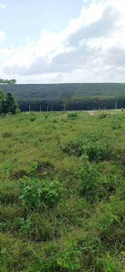 TERRAIN A VENDRE