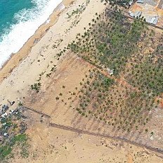 TERRAIN - NONGO CONAKRY 