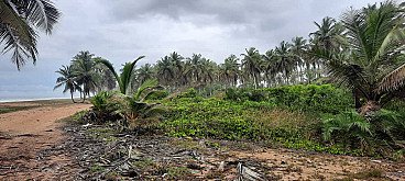 TERRAIN 40 Ha