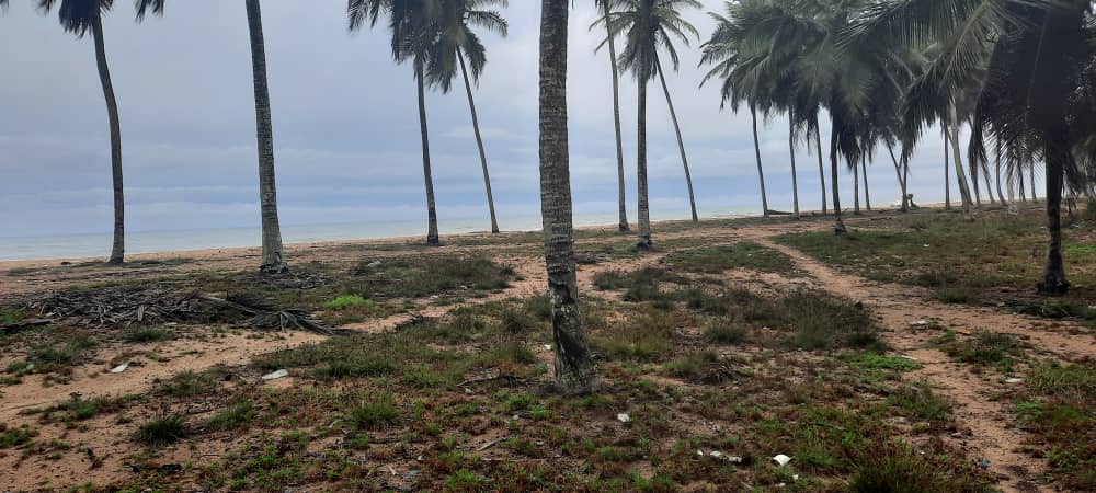TERRAIN 40 Ha