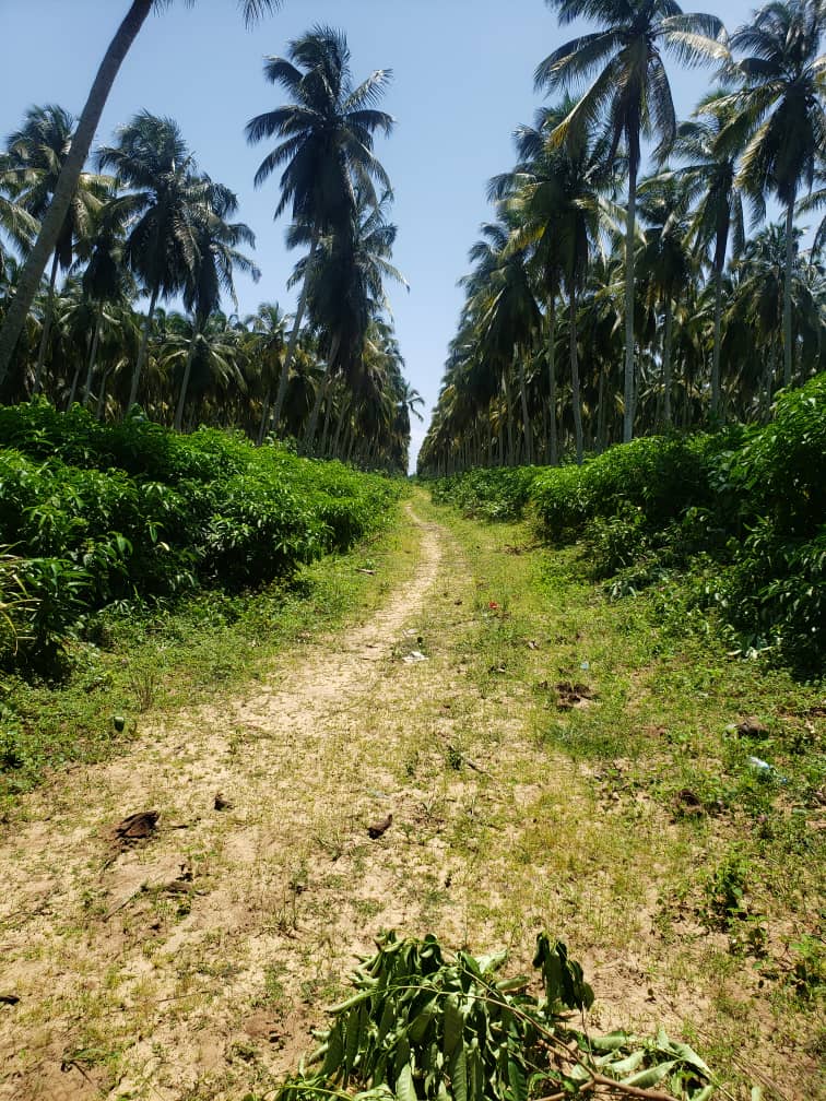 TERRAIN 5 Ha